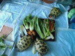 S-DSCF0836.jpg