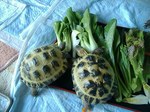 S-DSCF0848.jpg