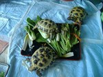 S-DSCF0851.jpg