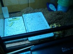 S-DSCF0876.jpg