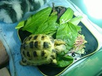 S-DSCF0893.jpg