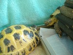 S-DSCF0998.jpg