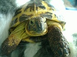 S-DSCF1007.jpg