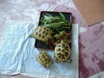 S-DSCF1070.jpg