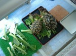 S-DSCF1072.jpg