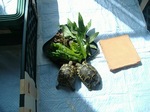 S-DSCF1073.jpg