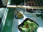 S-DSCF1076.jpg