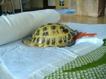 S-DSCF1078.jpg