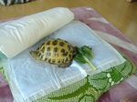 S-DSCF1080.jpg