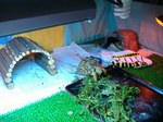 s-DSCF8658.jpg