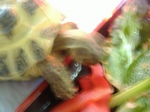 s-DSCF8673.jpg