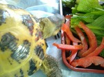 s-DSCF8679.jpg
