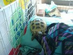 s-DSCF8780.jpg