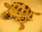 s-DSCF9723.jpg