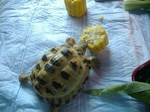 s-DSCF9745.jpg