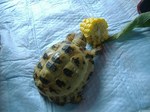 s-DSCF9749.jpg