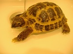 s-DSCF9808.jpg