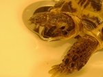 s-DSCF9809.jpg