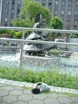 s-DSCF9833.jpg