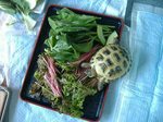 s-DSCF9863.jpg