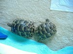 s-DSCF9901.jpg