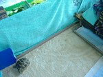 s-DSCF9902.jpg