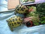 s-DSCF9918.jpg