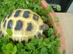 s-DSCF9933.jpg