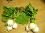 s-DSCF9959.jpg