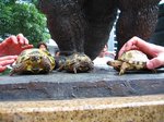 s-IMG_0083.jpg